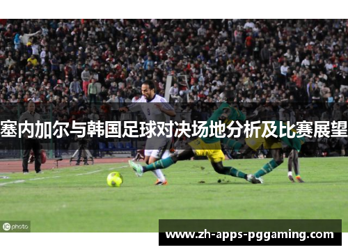 塞内加尔与韩国足球对决场地分析及比赛展望