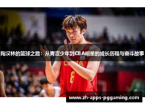 陶汉林的篮球之路：从青涩少年到CBA明星的成长历程与奋斗故事